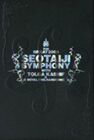 輸入盤 SEO TAIJI / GREAT 2008 SEO TAIJI SYMPHONY 2CD