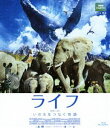 詳しい納期他、ご注文時はお支払・送料・返品のページをご確認ください発売日2012/2/3ライフ -いのちをつなぐ物語- ＊セルBlu-Ray スタンダード・エディション ジャンル 洋画ドキュメンタリー 監督 出演 製作期間6年、製作費35億円、陸・海・空全ての動物を捉えた圧巻の映像美!BBC史上最大のネイチャードキュメンタリー!動物と同じ目線で撮影され、まるで自分が動物になったような気持ちになれる大人から子供まで誰でも楽しめる映画。特典映像予告編集／デジタル・フォトギャラリー関連商品2011年公開の洋画BBCネイチャードキュメンタリー 種別 Blu-ray JAN 4988064494033 収録時間 88分 カラー カラー 組枚数 1 製作年 2011 製作国 イギリス 字幕 日本語 音声 日本語（5.1ch）（5.1ch） 販売元 エイベックス・ピクチャーズ登録日2011/11/11