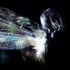 ムシフルウヨルニ ムシノネ詳しい納期他、ご注文時はお支払・送料・返品のページをご確認ください発売日2012/8/22蟲ふるう夜に / 蟲の音ムシノネ ジャンル 邦楽ロック/ソウル 関連キーワード 蟲ふるう夜にPROJECT SHIROFUNE※こちらの商品はインディーズ盤のため、在庫確認にお時間を頂く場合がございます。 種別 CD JAN 4562370640034 組枚数 1 製作年 2012 販売元 ビーエムドットスリー登録日2012/07/24