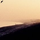 バイオダブ / ライゼゲフェーテ [CD]