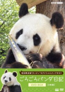 ゴロゴロパンダニッキ2026/2/14 AM 7:59まで初回分予約受付中！詳しい納期他、ご注文時はお支払・送料・返品のページをご確認ください発売日2026/3/27関連キーワード：ドキュメントごろごろパンダ日記 DVD BOX（アクリルスタンド付き初回限定版）ゴロゴロパンダニッキ ジャンル 国内TVドキュメンタリー 監督 出演 鬼頭明里阪神・淡路大震災で傷ついた人たちを癒す復興のシンボルとして2000年に来日したタンタン。その愛くるしい姿は、被災して暗い気持ちにいる人たちを明るく照らし、28歳（人間における100歳近く）まで生きた。数々の困難に直面しながらも、二人の飼育員に支えられながら懸命に生きる姿は、人々に勇気と希望を与えた。バックヤードに密着した膨大な映像とともに、タンタンが神戸で過ごした日々を振り返るドキュメンタリー。封入特典タンタンのメモリアルアクリルスタンド 種別 DVD JAN 4988066250040 収録時間 356分 カラー カラー 組枚数 4 製作国 日本 音声 DD（ステレオ） 販売元 NHKエンタープライズ登録日2025/12/22