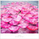 Aimer / Ref：rain／眩いばかり（初回生産限定盤...