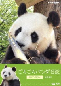 ���������ѥ������ DVD BOX���̾��ǡ� [DVD]