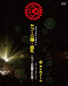 結成廿周年全国巡礼 ヤプー三神・巡礼〜ヤプーが召喚された夜〜［05→98→18迄-7＝20］ [Blu-ray]