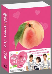 Abroad - 桃花タイフーン!! ノーカット版 DVD-BOX I（通常版） [DVD]