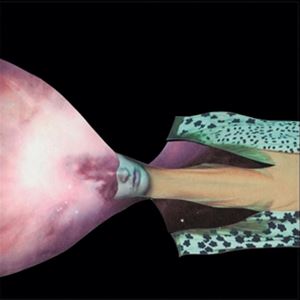 輸入盤 PAINTED SHIELD / PAINTED SHIELD 2 [CD]