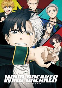 WIND BREAKER 5ʴס [Blu-ray]