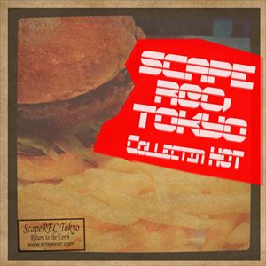 COLLECTION「HOT」（特別価格盤） [CD]