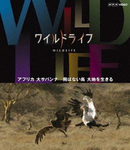 詳しい納期他、ご注文時はお支払・送料・返品のページをご確認ください発売日2013/4/26ワイルドライフ アフリカ大サバンナ 飛ばない鳥 大地を生きる ジャンル 国内TVドキュメンタリー 監督 出演 NHKの技術力・取材力の粋を集めた本格自然番組がブルーレイで発売!大自然の絶景、躍動する命の世界を、豊かな映像で記録しつづけ、骨太の自然番組として親しまれている。第2弾の「アフリカ大サバンナ編」から、本作は飛ぶ能力がありながらサバンナに適応するためにあえて地上で暮らす鳥たちの生態に迫った「飛ばない鳥 大地を生きる」を収録。封入特典解説リーフレット（長沼毅氏＜広島大学准教授、地球の辺境を放浪する科学者＞の特別寄稿／ディレクターのフィールドリポート ほか）特典映像スペクタクル映像集（BGV）／番組予告集関連商品NHKドキュメンタリーワイルドライフ 種別 Blu-ray JAN 4988066193095 収録時間 57分 カラー カラー 組枚数 1 製作年 2011 製作国 日本 字幕 日本語 音声 日本語リニアPCM（ステレオ） 販売元 NHKエンタープライズ登録日2013/02/01