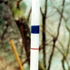 ホラ ハッケン詳しい納期他、ご注文時はお支払・送料・返品のページをご確認ください発売日2012/5/16洞 / 発見ハッケン ジャンル 邦楽J-POP 関連キーワード 洞※こちらの商品はインディーズ盤のため、在庫確認にお時間を頂く場合がござ...