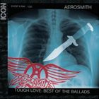輸入盤 AEROSMITH / ICON [CD](2.0)