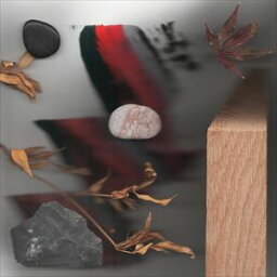 輸入盤 JAMIE WOON / MAKING TIME （JEWEL CASE） [CD]