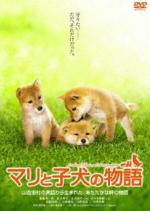 マリと子犬の物語 スタンダード・エディション [DVD]