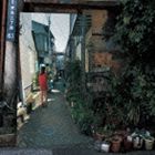 ザ・ビートモーターズ / Gris Gris [CD]