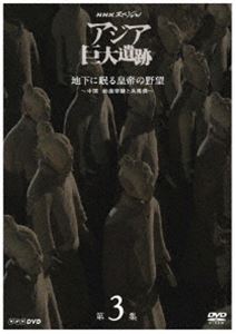 NHKスペシャル アジア巨大遺跡 第3集 地下に眠る皇帝の野望 〜中国 始皇帝陵と兵馬俑〜 [DVD]