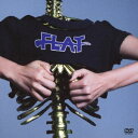 女王蜂／FLAT -Hall Live 2018- DVD