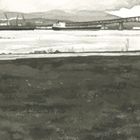 輸入盤 LOSCIL / SKETCHES FROM NEW BRIGHTON [CD]