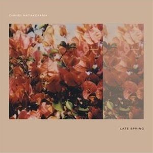 畠山地平 / レイト・スプリング [CD]