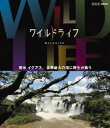 詳しい納期他、ご注文時はお支払・送料・返品のページをご確認ください発売日2013/5/24ワイルドライフ 南米 イグアス 世界最大の滝に野生が集う ジャンル 国内TVドキュメンタリー 監督 出演 NHKの技術力・取材力の粋を集めた本格自然番組がブルーレイで発売!大自然の絶景、躍動する命の世界を、豊かな映像で記録しつづけ、骨太の自然番組として親しまれている。第3弾の「世界自然遺産編」から、本作はアマツバメの仲間が何千羽も滝に飛び込む劇的な映像「南米 イグアス 世界最大の滝に野生が集う」を収録。封入特典解説リーフレット（長沼毅氏＜広島大学准教授、地球の辺境を放浪する科学者＞の特別寄稿／ディレクターのフィールドリポート ほか）特典映像スペクタクル映像集（BGV）／番組予告集関連商品NHKドキュメンタリーワイルドライフ 種別 Blu-ray JAN 4988066193125 収録時間 57分 カラー カラー 組枚数 1 製作年 2011 製作国 日本 字幕 日本語 音声 日本語リニアPCM（ステレオ） 販売元 NHKエンタープライズ登録日2013/03/01