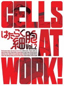 �Ϥ��餯��˦ 2�ʴ������������ǡ� [Blu-ray]