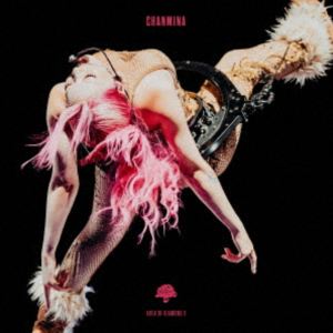 �����ߤʡ�AREA OF DIAMOND 3�ʴ������������ס� [Blu-ray]