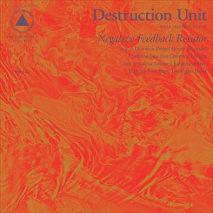 輸入盤 DESTRUCTION UNIT / NEGATIVE FEEDBACK RESISTOR [CD]