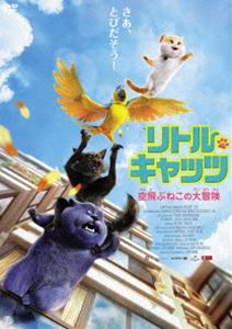 リトル・キャッツ 空飛ぶねこの大冒険 DVD [DVD]