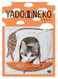 YADONEKO-やどネコ- [DVD]