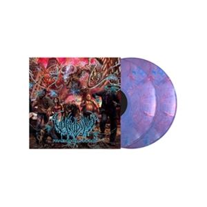 輸入盤 VULVODYNIA / PRAENUNTIUS INFINITI （BUBBLEGUM VINYL） [2LP]