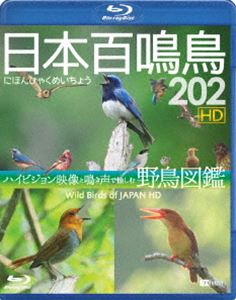 シンフォレストBlu-ray 日本百鳴鳥 202 HD ハイビジョン映像と鳴き声で愉しむ野鳥図鑑 [Blu-ray]