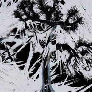 Plastic Tree / Plastic Tree（通常盤） [CD]