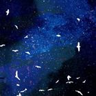 Norikazu Chiba / The Songs of the Circling Stars 
