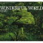 椺 / WONDERFUL WORLD̾ס [CD]