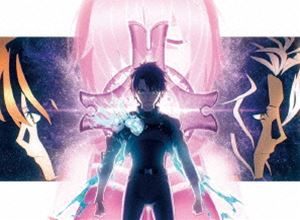 Fate／Grand Order -終局特異点 冠位時間神殿ソロモン-（完全生産限定版） [DVD]