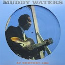 輸入盤 MUDDY WATERS / AT NEWPORT LP