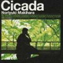 槇原敬之 / Cicada（通常盤） CD