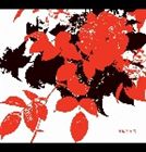 椿屋四重奏 / 薔薇とダイヤモンド [CD]