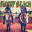 ֥åǥӡ / Bloody Beach Pirate Radio Presents [CD]