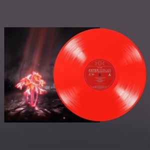 楽天ぐるぐる王国FS 楽天市場店輸入盤 ENTER SHIKARI / A KISS FOR THE WHOLE WORLD [LP]