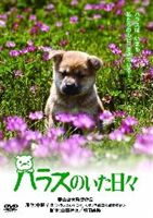 詳しい納期他、ご注文時はお支払・送料・返品のページをご確認ください発売日2013/1/30ハラスのいた日々 ジャンル 邦画ドラマ全般 監督 栗山富夫 出演 加藤剛十朱幸代益岡徹東野英治郎子供のいない中年夫婦と、子供同然に可愛がっている一匹の犬との心温まる物語を描いた、中野孝次原作のノンフィクション小説を映像化した作品。加藤剛、十朱幸代、益岡徹ほか出演。特典映像予告篇集 種別 DVD JAN 4988105066205 収録時間 106分 画面サイズ ビスタ カラー カラー 組枚数 1 製作年 1989 製作国 日本 音声 日本語DD（5.1ch） 販売元 松竹登録日2012/10/30