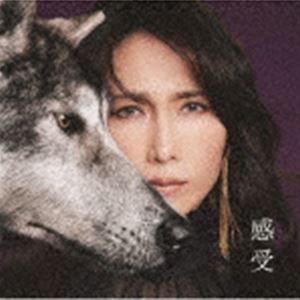 工藤静香 / 感受 Shizuka Kudo 35th Anniversary self-cover album [CD]