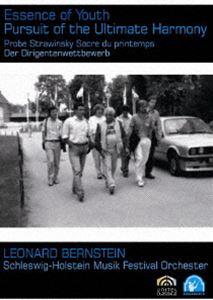 ��ʡ��ɡ��С��󥹥����� ��ԤΤ��٤�-��ˤΥϡ���ˡ������ [DVD]