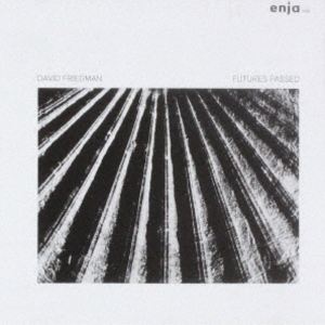 デヴィッド・フリードマン（vib、mar） / フューチャーズ・パスト（期間限定盤／数...