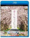 rR Relaxes BD  tʂ ؂₩ȍ̂镗i 4KBei [Blu-ray]