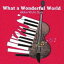 Akiko Muto Duo / What a Wonderful World [CD]