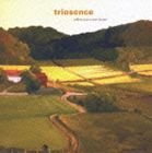 トリオセンス / ホェン・ユー・カム・ホーム [CD]