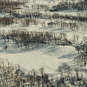 �ȥ���ޥ����� / ���դϿ��Ȥ��� [CD]