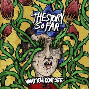 輸入盤 STORY SO FAR / WHAT YOU DON’T SEE （ROYAL BLUE W ／ WHITE SPLATTER） [LP]