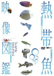 熱帯魚映像図鑑 バーチャル・アクアリウム 映像と音で愉しむ美しき熱帯魚の世界 [DVD]
