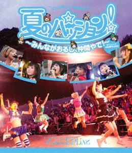 でんぱ組.inc／夏のパッション!〜みんながおるし、仲間やで!〜 in 大阪城野外音楽堂 [Blu-ray]